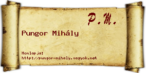 Pungor Mihály névjegykártya